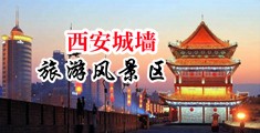 草哭美女的小骚逼中国陕西-西安城墙旅游风景区