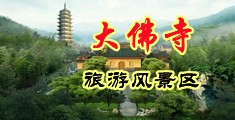 欧美美女被艹的直流水中国浙江-新昌大佛寺旅游风景区